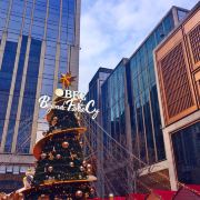 bfc外滩枫泾路夜市