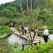 丽水华东药用植物园