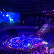 武汉武汉杂技厅游玩攻略-武汉杂技厅门票多少钱/价格