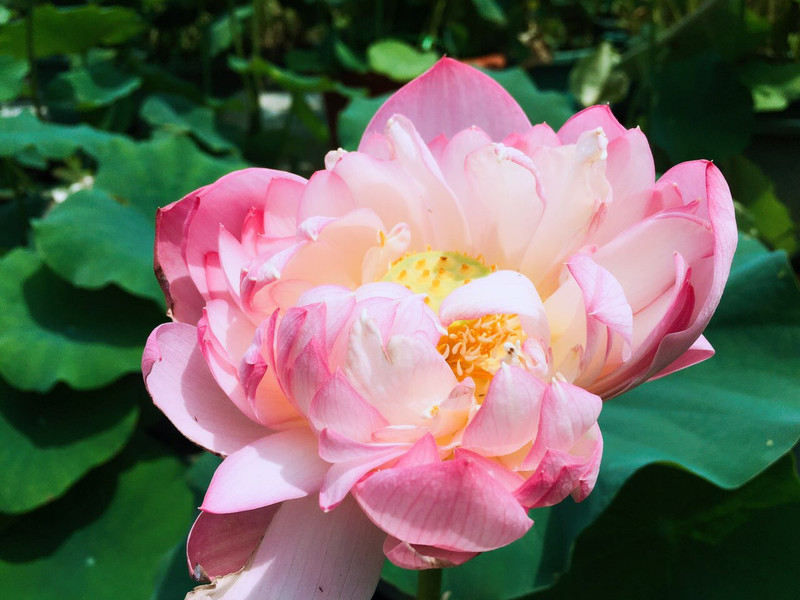 北京~我们那个年代的第一课