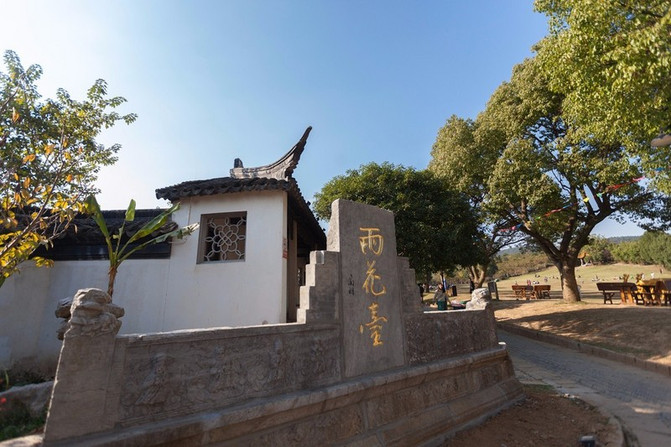 无论在雨花胜境,在东山村,在陆巷村,都有可以自然采摘的橘园.