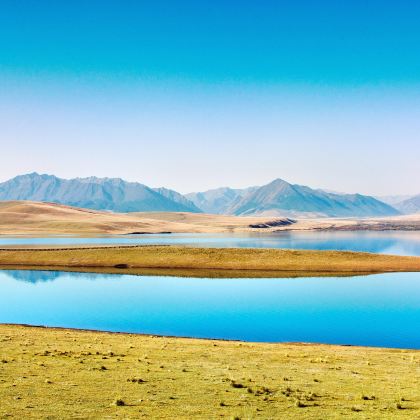 山丹皇家军马场一日游【小车出行·市内免费接送·纯玩无购物】 山丹皇家军马场一日游【小车出行·市内免费接送·纯玩无购物】