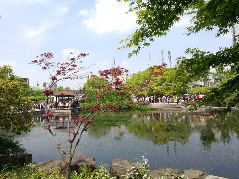 嘉定南水关公园和紫藤园