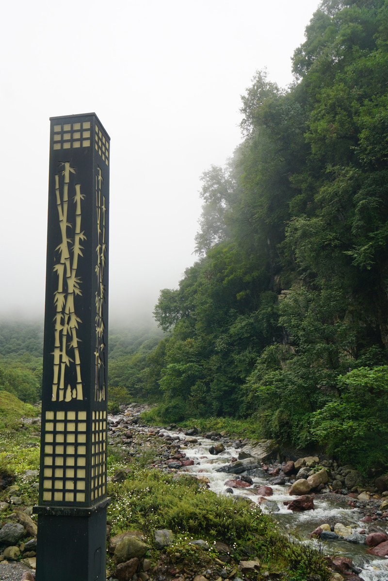 黑竹沟石门关原始森林, 高山大草甸两个开放景点游记