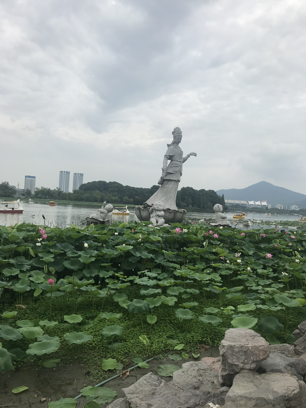 从樱洲(春天有很多樱花)走到梁州(秋天有一片银杏可观赏,莲花仙子塑像