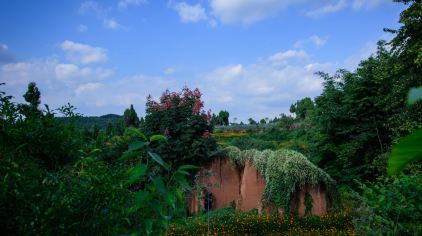 中国香山寿香谷