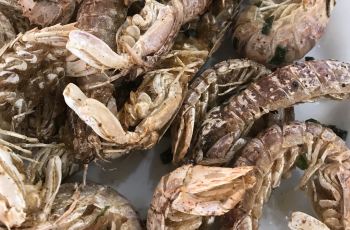 惠东双月湾海岛家小美食坊风味,双月湾海岛风我攻略厨家常菜怎么样图片