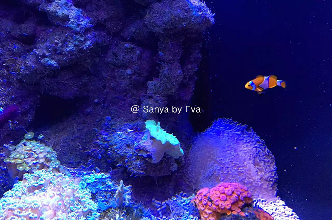 亚特兰蒂斯失落的空间水族馆