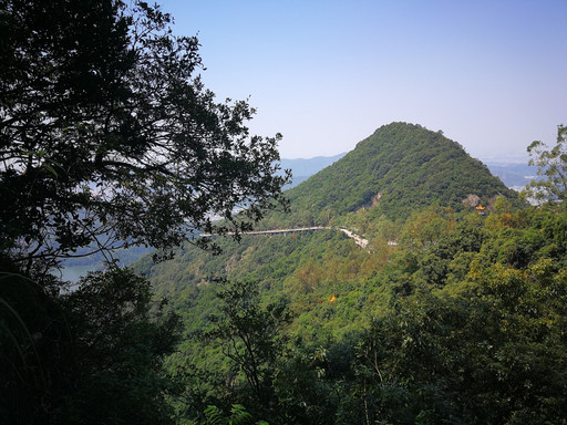 【游前必看】东莞樟木头观音山国家森林公园休闲游(广州/深圳出发)