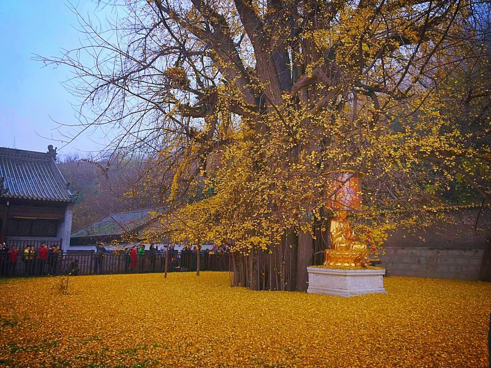 钟南山古观音禅寺