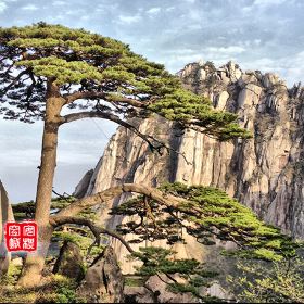 迎客松门票,黄山迎客松攻略/地址/图片/门票价格