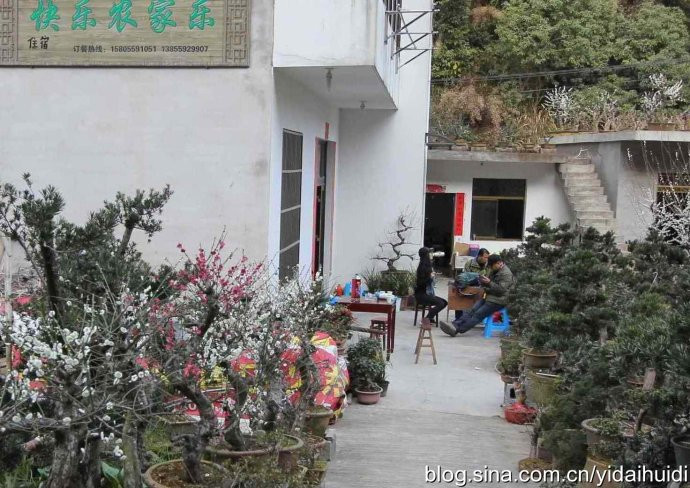 一个只卖花不卖鱼的村子 歙县卖花渔村
