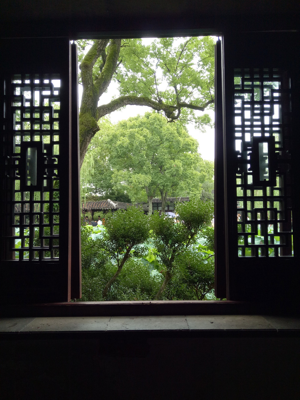 苍松翠竹 花鸟无私 苏州两日漫游