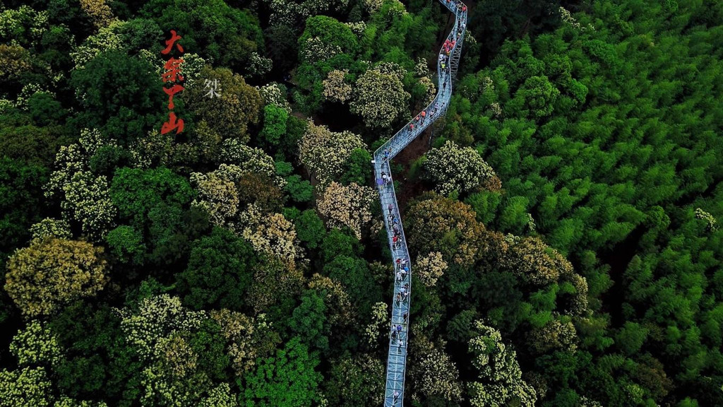 回归老家,亲近自然,乡约大余丫山(两天一夜自由行攻略)