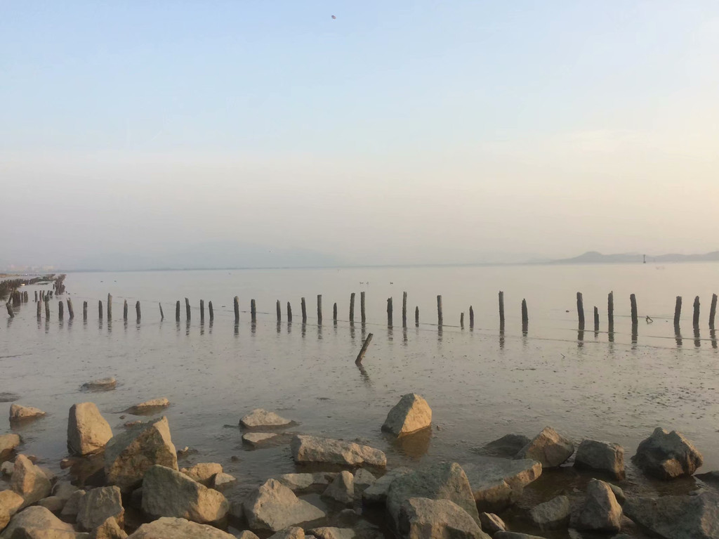 深圳湾公园