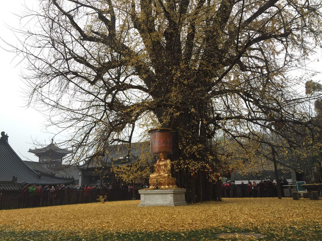 钟南山古观音禅寺