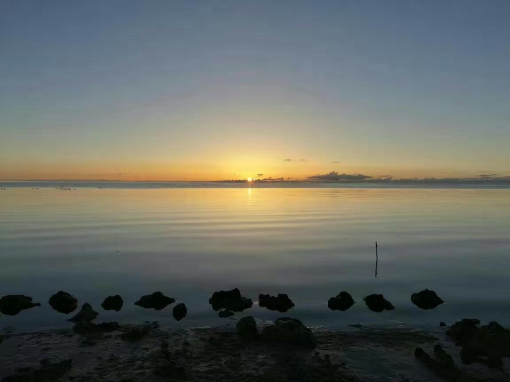 一花一世界,一湖一天堂#心纯净,行至美——洗涤心灵的青海宁夏小夫妻