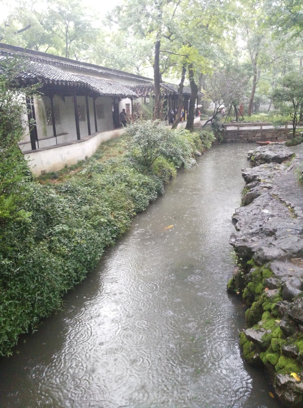 携手爱人,江南雨季慢游-暑期苏州,黄山10日游