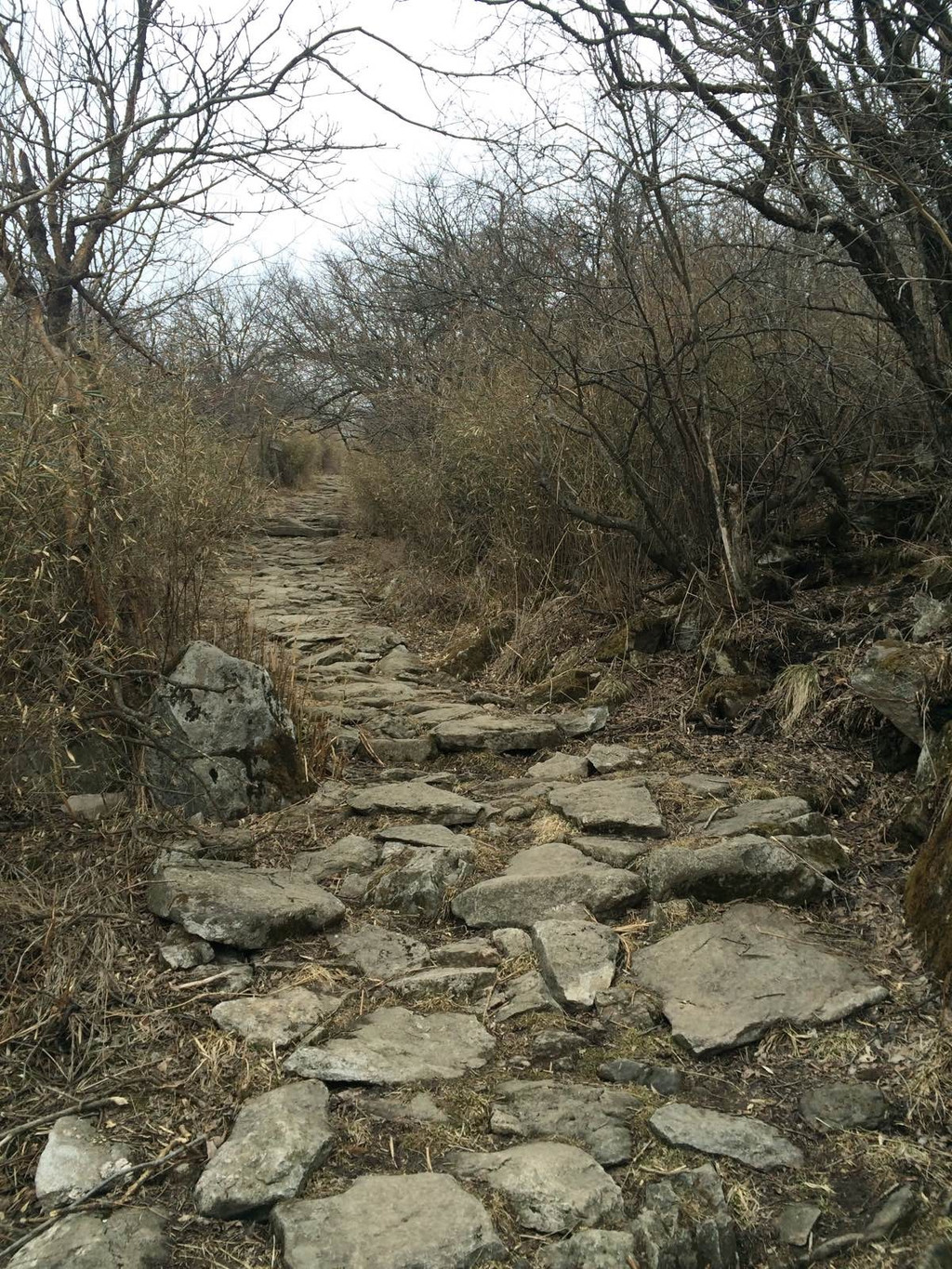 穿越秦楚古道,尽赏秦岭俊秀