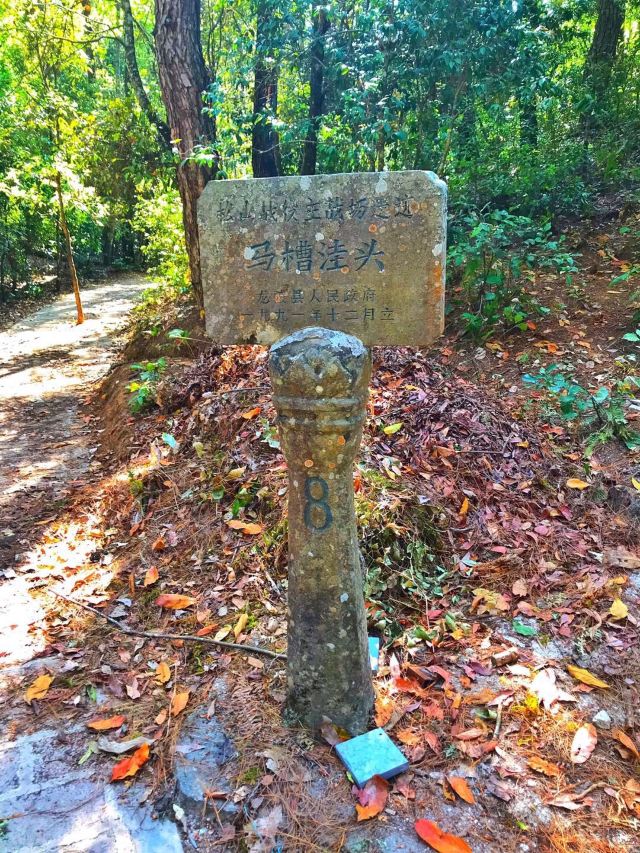 云南保山的龙陵县,有一个地方,叫松山.