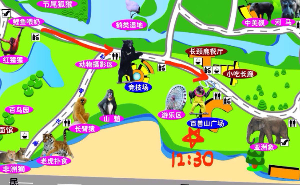 上海野生动物园一日游—不重复完整路线—《放开我北鼻》第五期