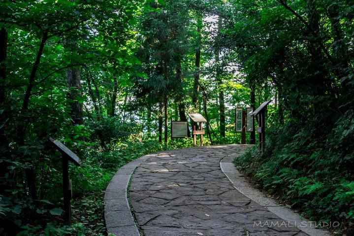 【马玛丽旅行志】悠然夏日去避暑,亲山近水在临安