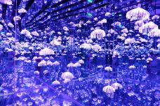 星空失恋博物馆