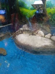顺盈海洋世界