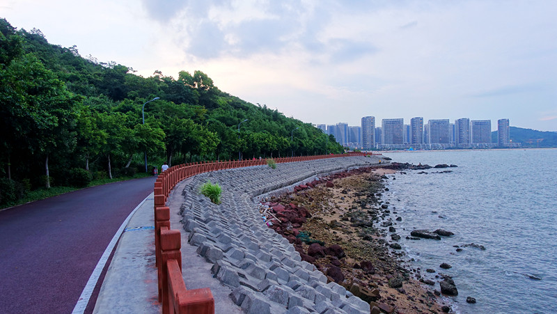 惠东:海景阳台吹风读书 乡村稻田偶遇白鹭 乌头山绿道