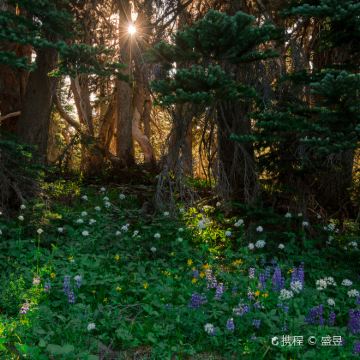 美国西雅图+雷尼尔火山国家公园一日游 美国西雅图+雷尼尔火山国家公园一日游