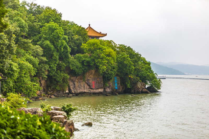 夏天的鼋头渚,跟着船娘去采莲吧雨中的鼋头渚,不只有樱花
