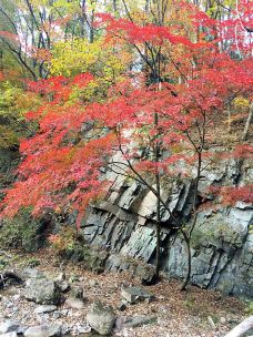 【携程攻略】本溪关门山大峡谷图片,本溪关门山大峡谷