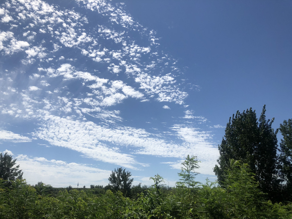 秦皇岛北戴河昌黎四日四晚:抓住夏天的尾巴,与大海相约赶海踏浪!