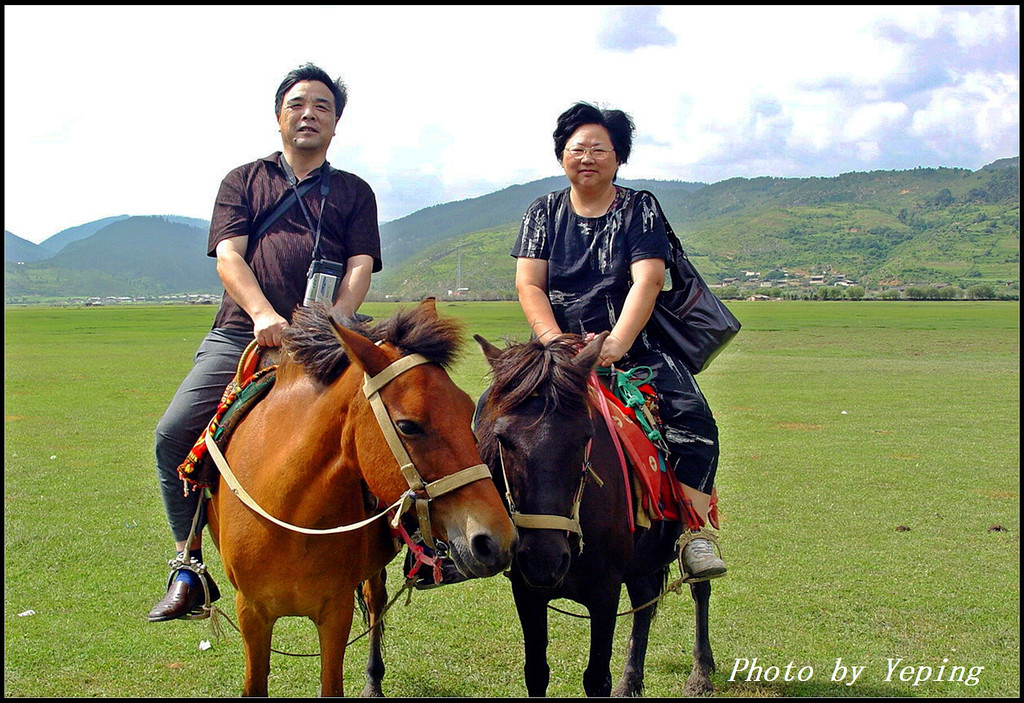 见仁见智:草原牧歌(2005-2014)