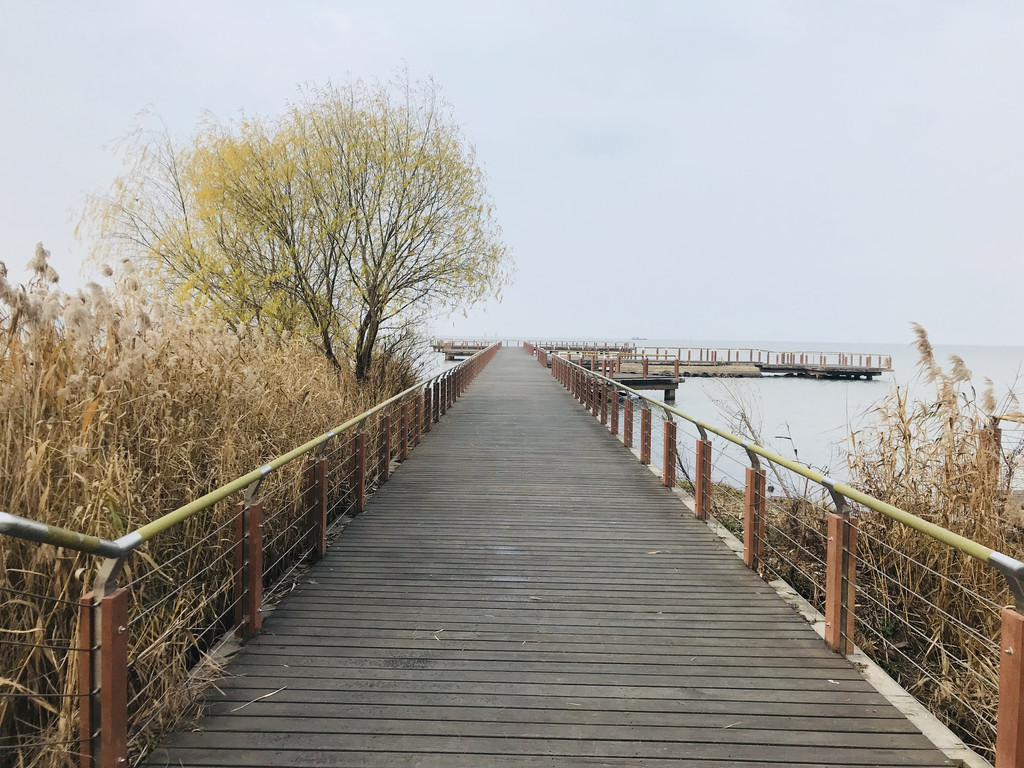 巢湖湿地公园