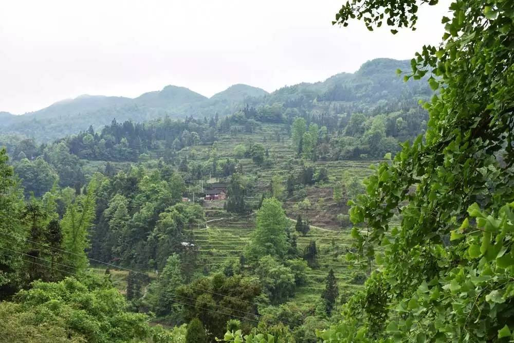 贵阳-乌当-黄连村