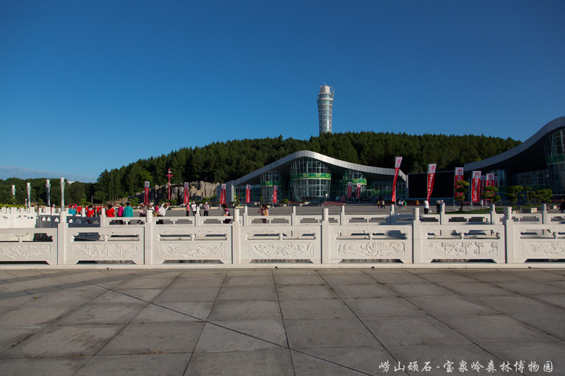 重返黑龙江宝泉岭-知青寻梦之旅