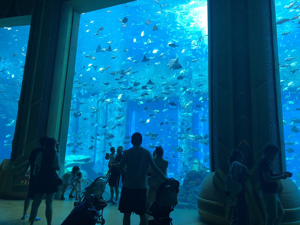 亚特兰蒂斯失落的空间水族馆