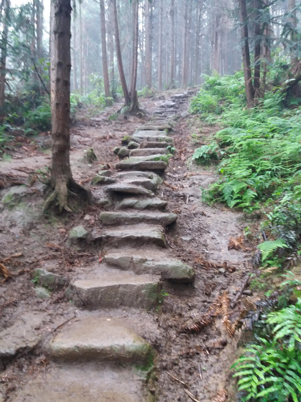 单挑未登峰,新驴毕业篇之你好,赵公山