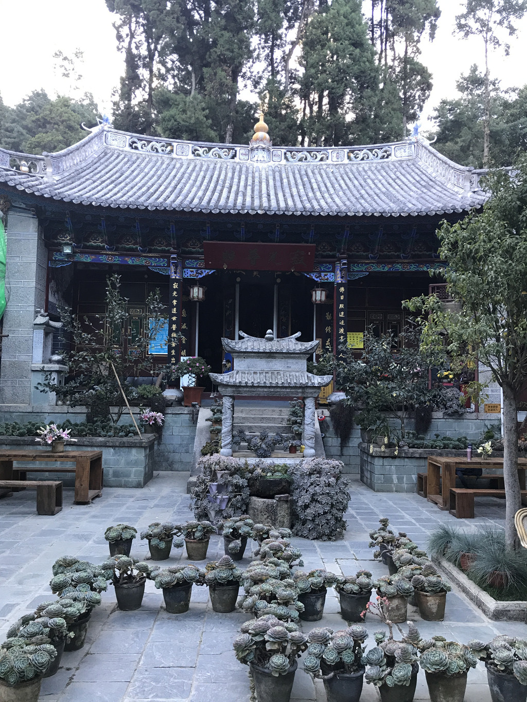 紫竹林景区,紫竹林_大山谷图库