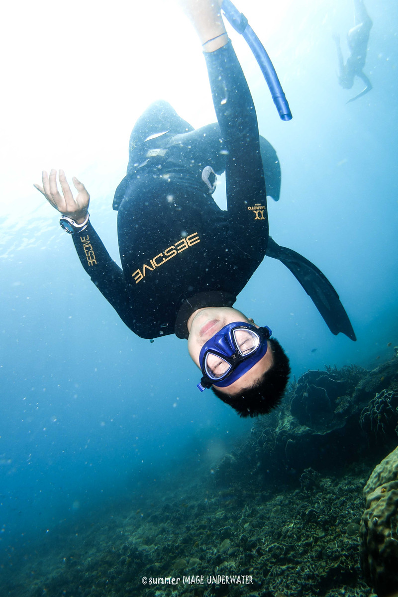 我的泰国涛岛教练生涯:水肺潜水 自由潜