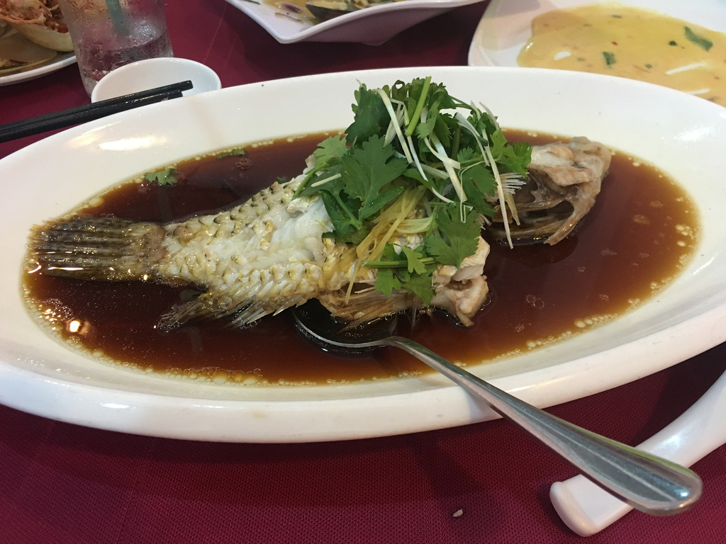 苏眉鱼,肉质鲜美,很好吃