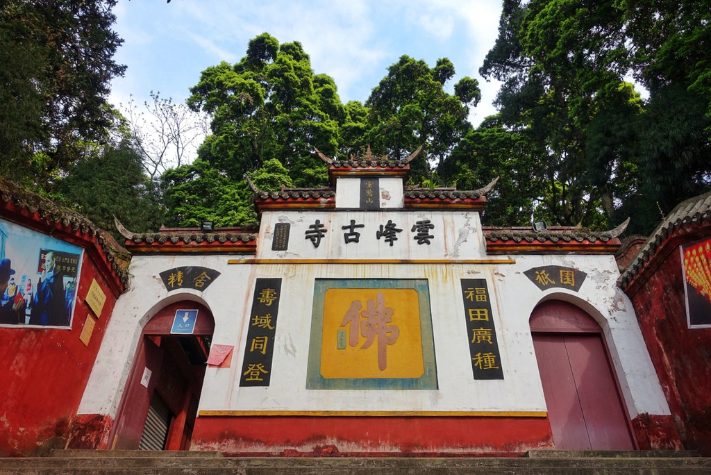 雅安荥|龙苍沟鸽子花,云峰,砂器,博物馆,名小吃,南丝绸之路上的色