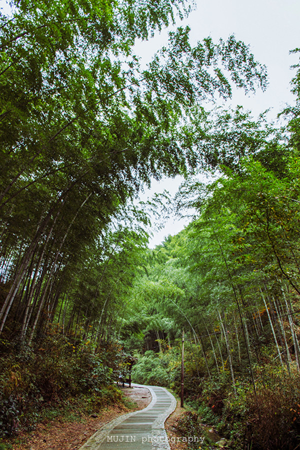 住进徽州的秋色中,当一次画中人~~~ 黄山-宏村-卢村-塔川