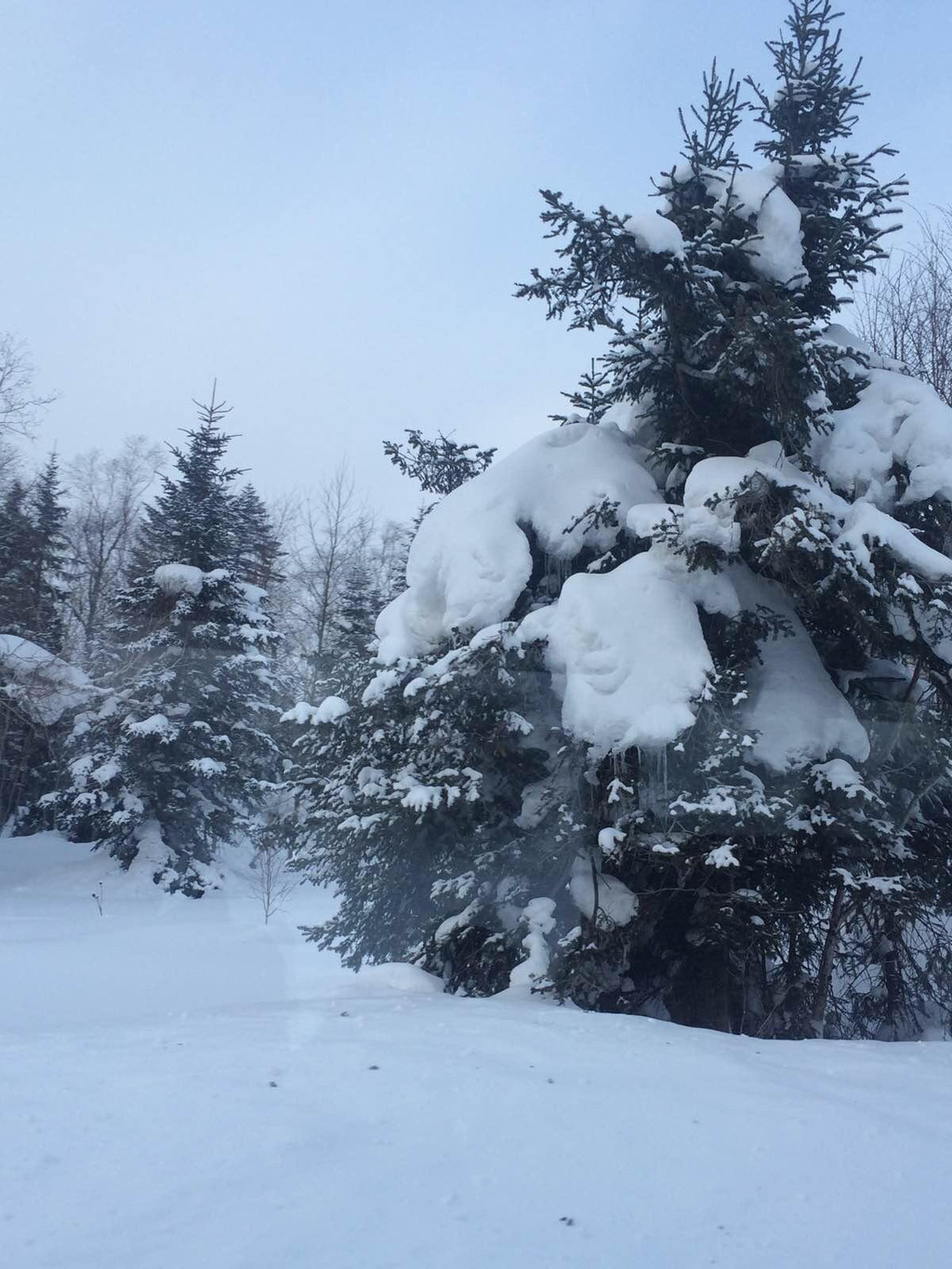 漫雪天池—长白山西坡元旦之行