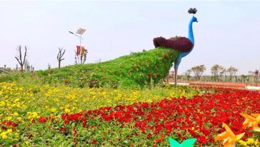 百万花海风景区