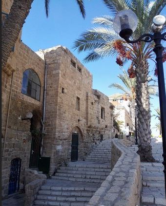 犹太历史文化博物馆