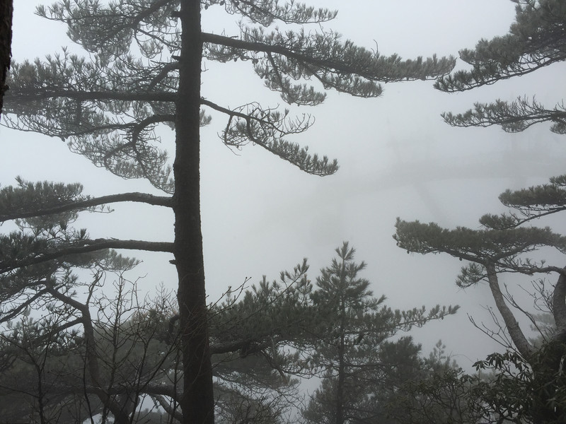 飘雪温泉泡在黄山 黄山风景区游记攻略【携程攻略】