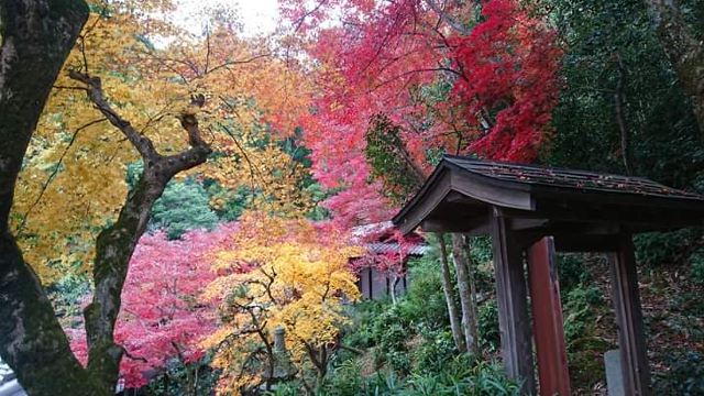 杨谷寺