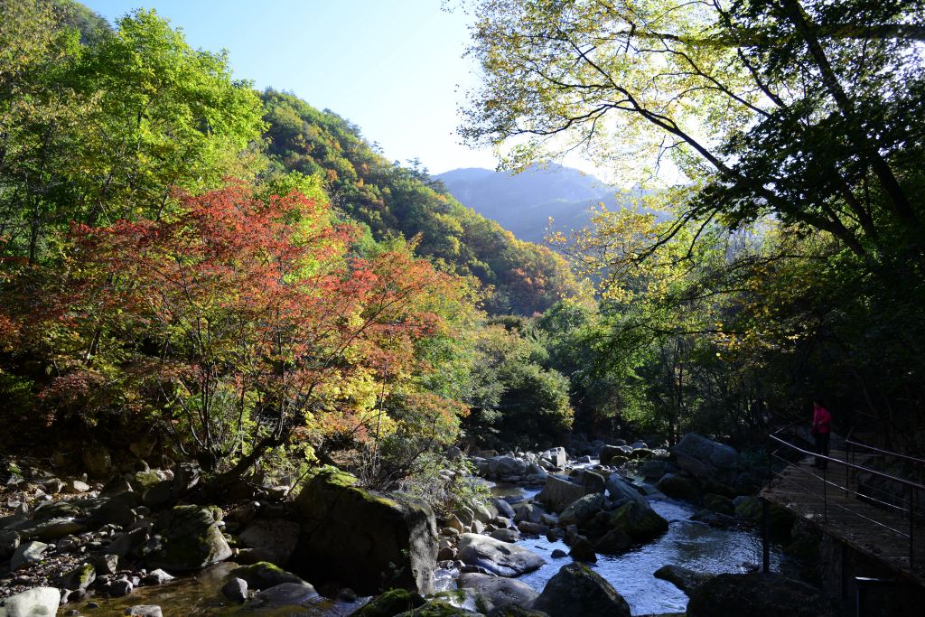 天桥沟栈道景区3